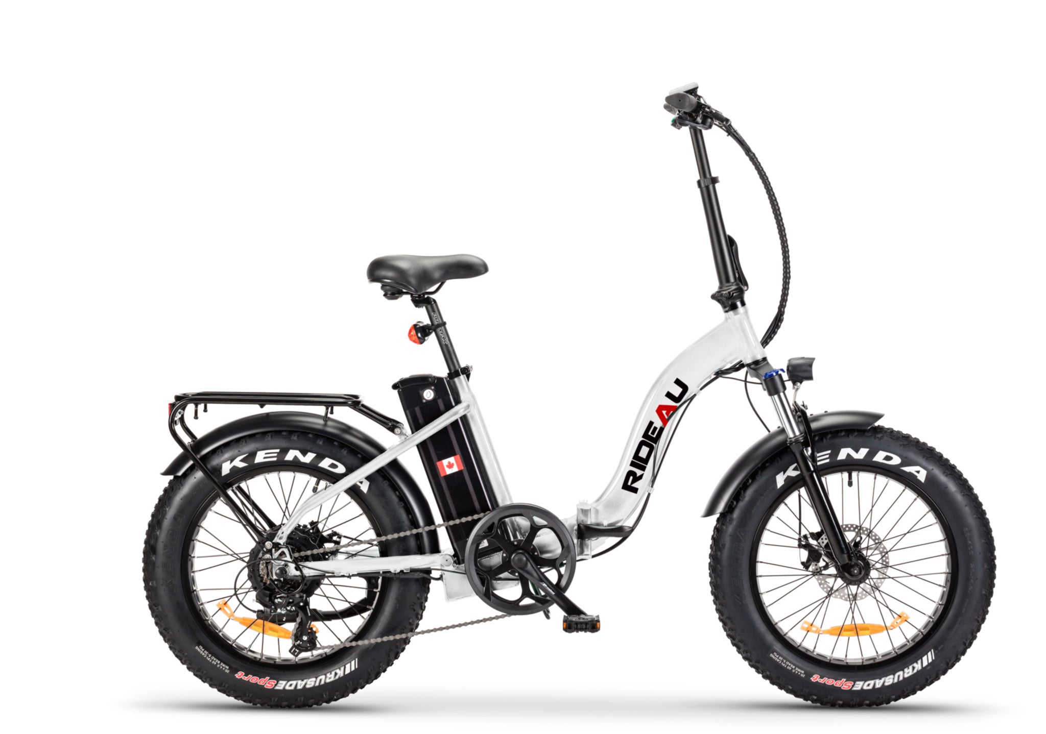 Electric fat bike online company